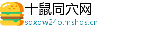 十鼠同穴网